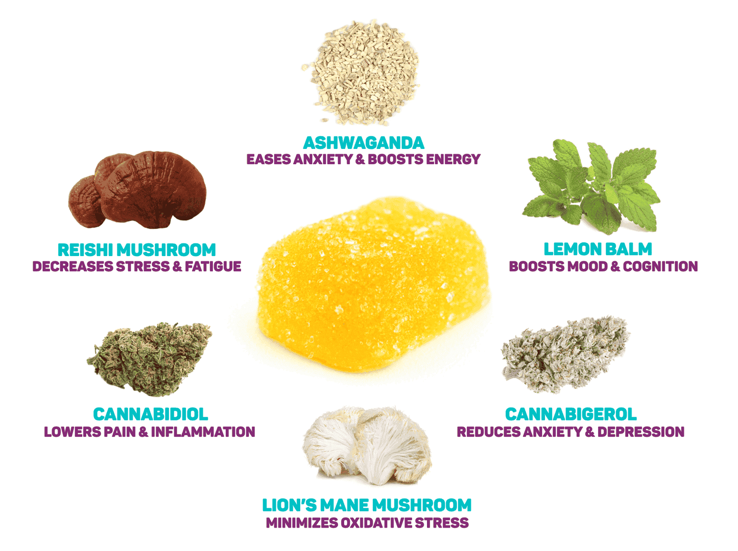 
                  
                    RIVER JAMS RELAX SEASONALS - CBD + CBG + TRADITIONAL BOTANICALS + FUNCTIONAL MUSHROOMS
                  
                